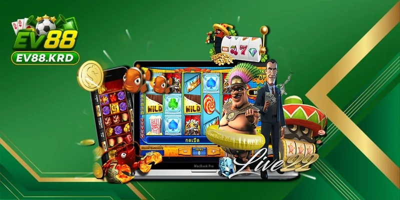 Lợi ích và lưu ý